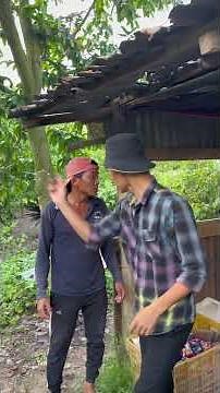 Anh Nào Thì Em Nấy | HoàiPhong TV #shortvideo #comedy