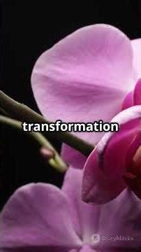 Secret Hidden Meanings in Adaptation. (2002) Nicolas Cage Movie