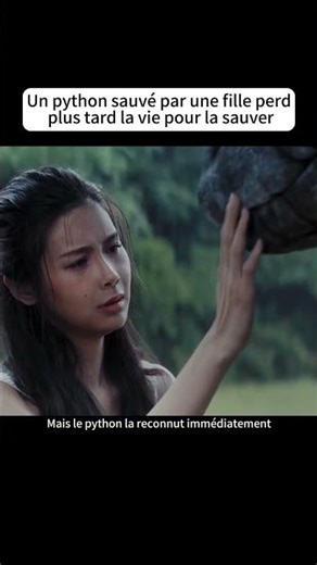 Un python sauvé par une fille perdplus tard la vie pour la sauver#film #movie