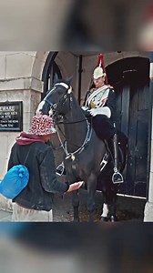 229K views · 1.9K reactions | 裸勞 At last, King's Guard can't stand anymore #kingsguard | Imran Boxer | Facebook