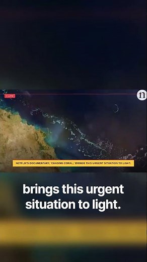 Chasing Coral The Urgent Race to Document a Disappearing World Netflix Brief