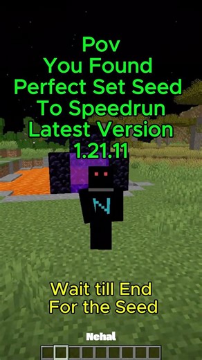 Perfect Seed To Speed Run the latest Version