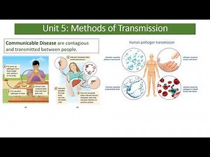 Mr Phillips GCSE Science: GCSE Communicable Disease Biology Revision Video