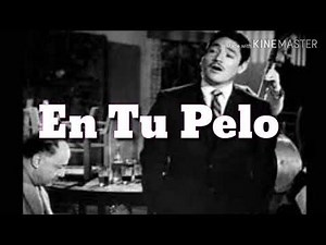 EN TU PELO (LETRA) - JAVIER SOLIS