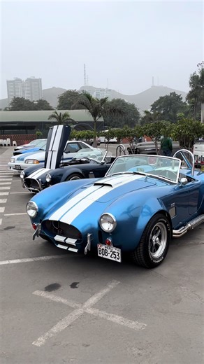 Unleashing the Power of Shelby Cars