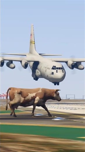 Cow Accidentally Come Runway During Airplane Landing _GTAV epi 203