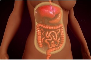Anatomy: difference between parietal and visceral peritoneum