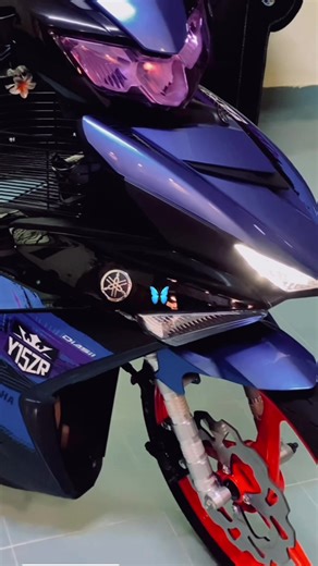 Exploring Rempit Style with Butterfly Motifs