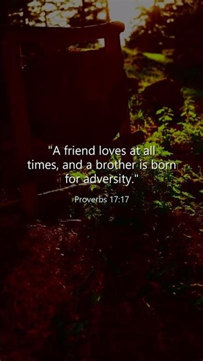 🤝 A Friend Loves At All Times | Proverbs 17:17 #shorts #dailyscripture