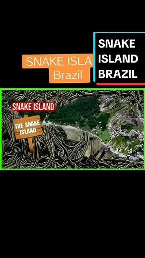 #ugbraintime#fyp#foryoupage#uganda#kampalatiktok#fypシ#foryou