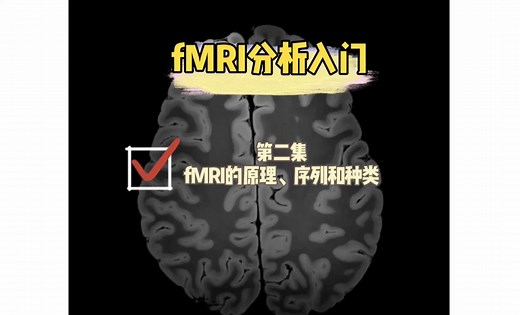 fMRI分析入门-2: fMRI的原理、序列和种类