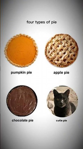 Four types of pies