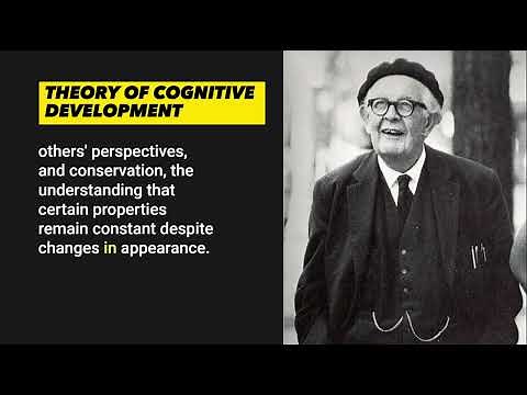 Top 10 Points About The Piaget's Theory Of Cognitive Development
