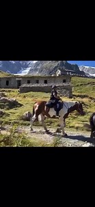 LE TOUR DU MONT BLANC À CHEVAL... Unique en Europe, sous la conduite de François Duvillard, les cavaliers poursuivent leur tour du Mont Blanc... 230 km en 8 jours. Ici, dans le magnifique paysage après le passage du col de la Seigne (2516 m). Le col de la Seigne est un col qui relie la vallée des Chapieux (au sud-ouest) via la vallée des glaciers en Savoie (France), au val Vény (au nord-est) en Vallée d'Aoste. Merci à Rouly Tchitchi pour cette vidéo. Le Cheval de Feug. Florian Duvillard. | La Pl