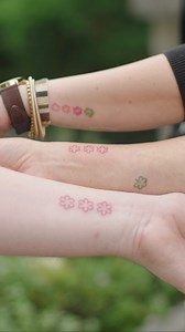 MICHELIN Guide (official) on Instagram: "The day after being awarded 3 MICHELIN Stars is a mix of lingering excitement and sense of achievement for chefs like @anaros40 and their team. Her restaurant @hisafranko was awarded its 3rd Star —while retaining a Green Star— in this year’s Slovenian selection, again cementing sustainable gastronomy in the galaxy of the world’s finest dining establishments. In our new series, join us behind the scenes to be immersed in the emotions that follow this highe