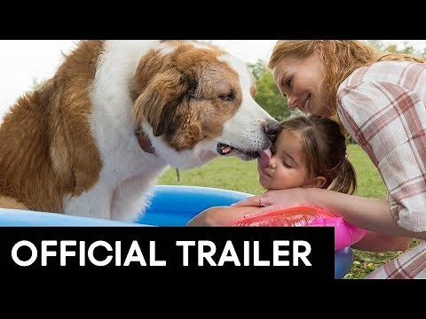 A DOGS JOURNEY | SHORT TRAILER