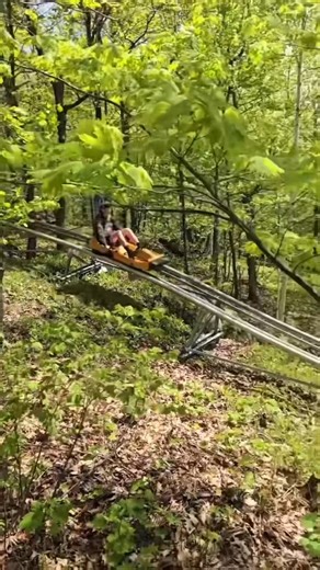 Beat the heat with a cool breeze and a coaster ride! 🎢☀️It’s the perfect time to chill out on the Spirit Mountain Timber Twister. Info/tix at destinationduluth.co/SpiritMountain or Link in bio on IG Adventure and more awaits at Spirit Mountain #SeeYouAtSpirit #visitduluth #optoutside #destinationduluth | Destination Duluth