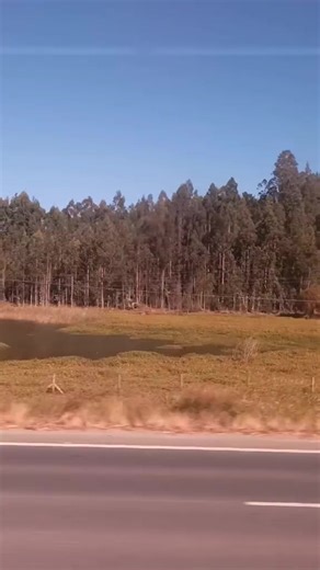 Videos de Ana te sigue