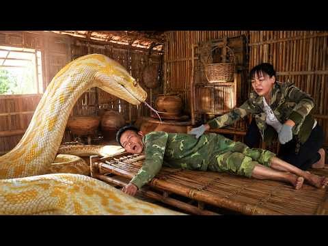 72 Hours Survival: Giant Albino Python Appears While Sleeping Man | Shocking Rescue Begins!