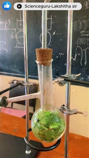 🍃Steam distillation process #science #distillation #experimnent