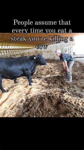 Rocky Ridge Livestock | Beef, Pork & Eggs | Ship from Maine 🇺🇸 on Instagram: "You're going to make changes in your lifestyle for 2026?? Make beef one of those priority changes🙋‍♀️ Eat the steak and buy it direct from a farm. Change starts with choices and we can help you with an important choice for your health and your family's health. Comment BEEF for more information Or like and share to help support our farm in 2026! #familyfarming #beef #knowyourfarmer #carnivore"