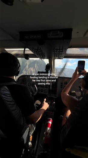 Definitely take this tour when you visit Kauai ✨ #kauai #hawaii #airplane #tour
