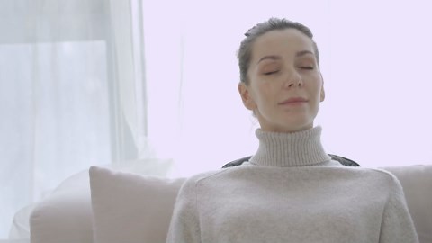 COMFIER Shiatsu Back Massager with Heat,Deep Tissue Kneading Massage Seat Cushion,Massage Chair Pad for Full Back,Body Massager for Home or Office Chair use