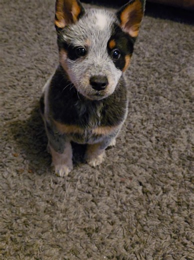 Creating AI-Generated Eyebrows: A New Trend