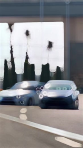 Road Buddies: The Ultimate Car Lover's Experience