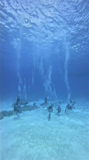 Underwater Adventure – Pure Freedom Beneath the Waves 🌊🤿