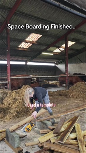 Building a Timber Frame: A DIY Challenge