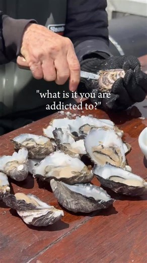 What is it you are addicted to? Here in Coffin Bay, we already know the answer. Oysters. Always oysters. #coffinbay #oysters #southaustralia #eyrepeninsula | Oyster Farm Tours - Coffin Bay