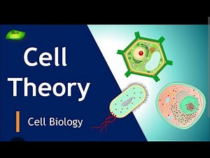 CELL THEORY