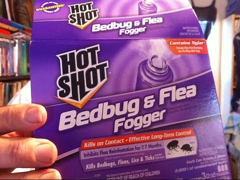 How to Bomb for Bedbugs, Fleas, Lice & Ticks (Live Demonstration with Foggers)