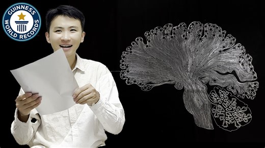 World's longest strip cut from letter-sized paper.