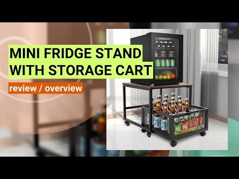 Review: The Ultimate Mini Fridge Stand with Storage and Mobility!