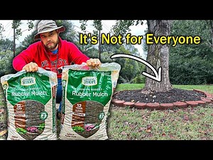 Everything You Need To Know About Rubber Mulch