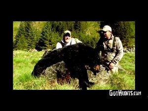 Alaska Black Bear Hunts