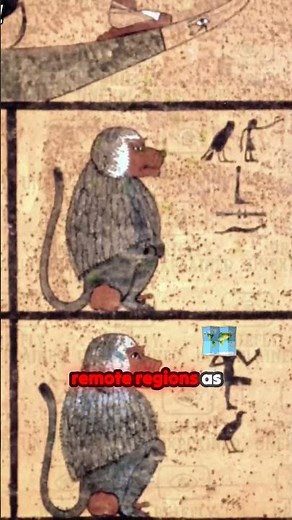 Unlocking Ancient Secrets: Where Did This Baboon Come From?