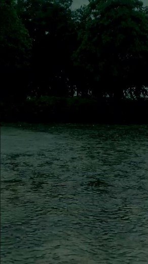 Healing Rain Sounds ⛈ Heavy Rain for Deep Sleep and Wellness