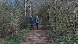 163 reactions · 46 shares | Challenge yourself to walk 26.2 miles over two weeks this June – a marathon distance, in your own time, at your own pace. | Stroke Association | Facebook