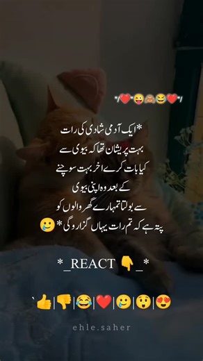 URDU PEOTRY🇵🇰 on Instagram: "💭 SAVE & SHARE . . . #instagram #reels #viral #aesthetic #nature #beauty #explore #world #urdupoetry #urdulines #urduquotes #athartypist #kashmir #lahore #karachi #india #gilgitbaltistan #pakistanstreetstye"
