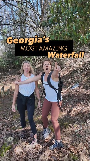 This will always be my FAVORITE place in our state. Lula Lake Land Trust is a preserve open to the public on the first and last weekends of each month. Reservations are required, and a $16 conservation fee per vehicle applies. Check their page out @lulalakelt | Georgia Hikes
