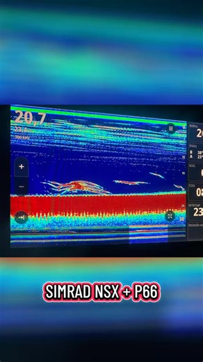 64K views · 640 reactions | Simrad Sport Fishing in Greece on Reels | Facebook