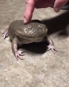 when someone touches me (🔈) | creep