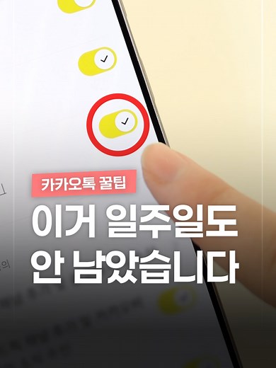 일주일 후 후회하지 않기 위한 꿀팁