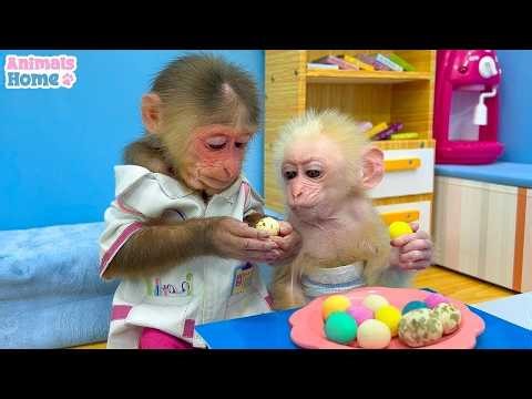 Smart BiBi monkey helps dad take care of baby monkey OBi