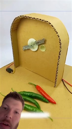 DIY Chili Chopper 🌶️🔪#homemade #danger #sharp #razors #spinning from cyjc421