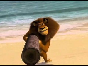 YTP - Madagascar accidents