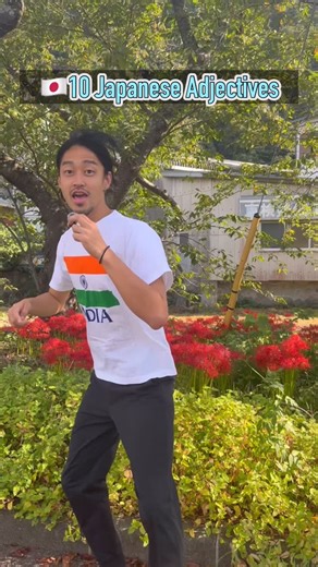 🇯🇵10 Japanese Adjectives🇮🇳👀🔥 #telugu #india #japan #adjectives #learningjapanese #japaneselesson #nihongo #にほんご #日本語 #languages | Futa Japanese Telugu abbai ni